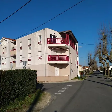 Bright Flat In Bay Of Arcachon *